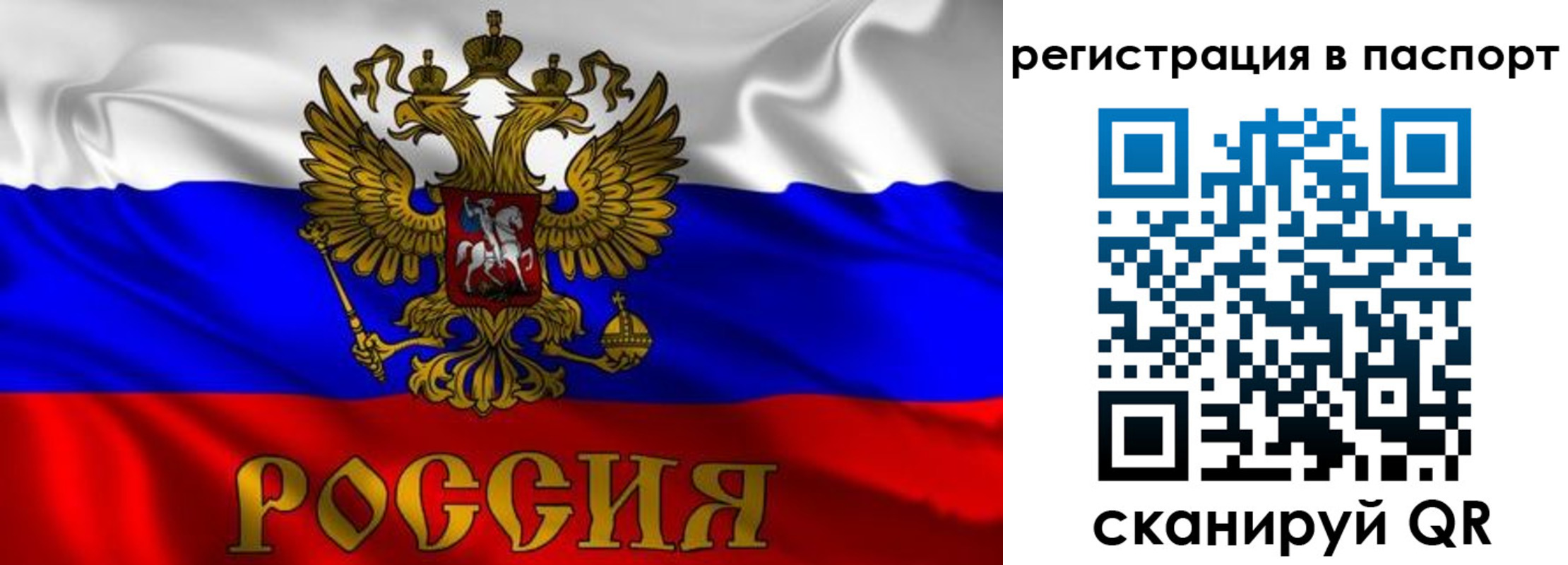 найти адрес прописки в Видном